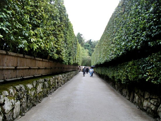 ��t�����_