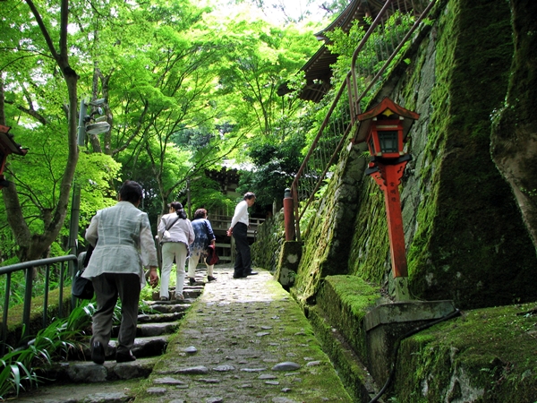 �T���v���摜