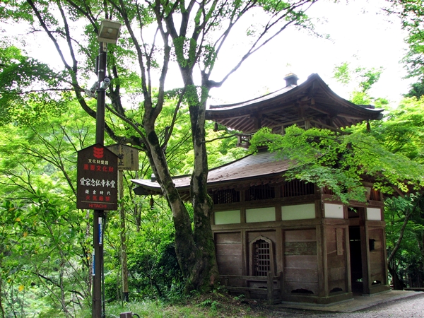 �T���v���摜