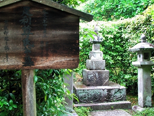 �T���v���摜