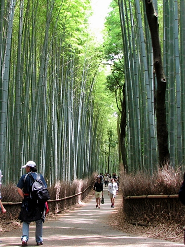 �T���v���摜