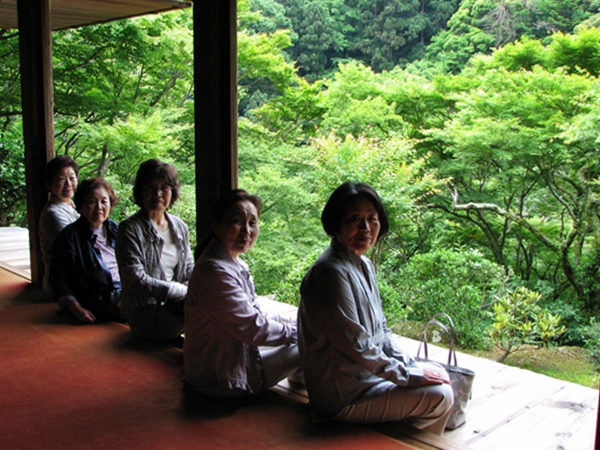 モリアオガエル