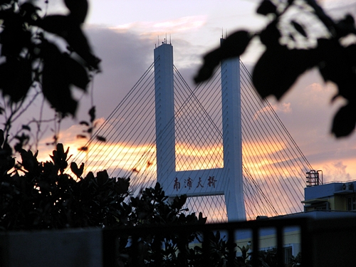 ��C�A���J���g